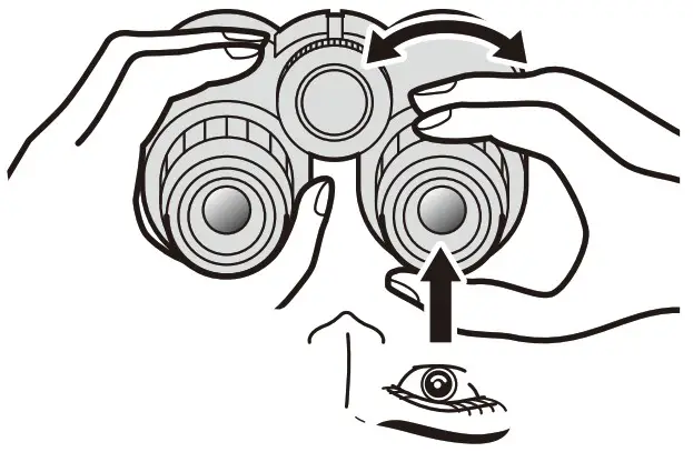 Nikon Monarch M5 8x42 Binoculars - Diopter adjustment 2