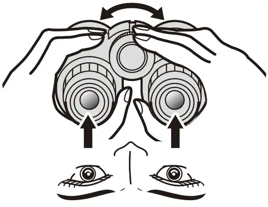 Nikon Monarch M5 8x42 Binoculars - Diopter adjustment 3