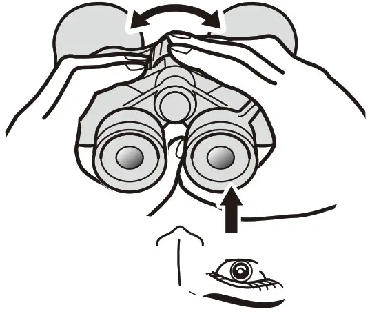 Nikon Monarch M5 8x42 Binoculars - Diopter adjustment 5