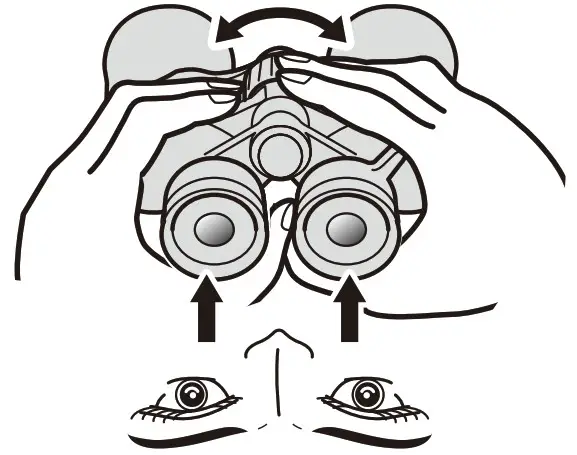 Nikon Monarch M5 8x42 Binoculars - Diopter adjustment 7