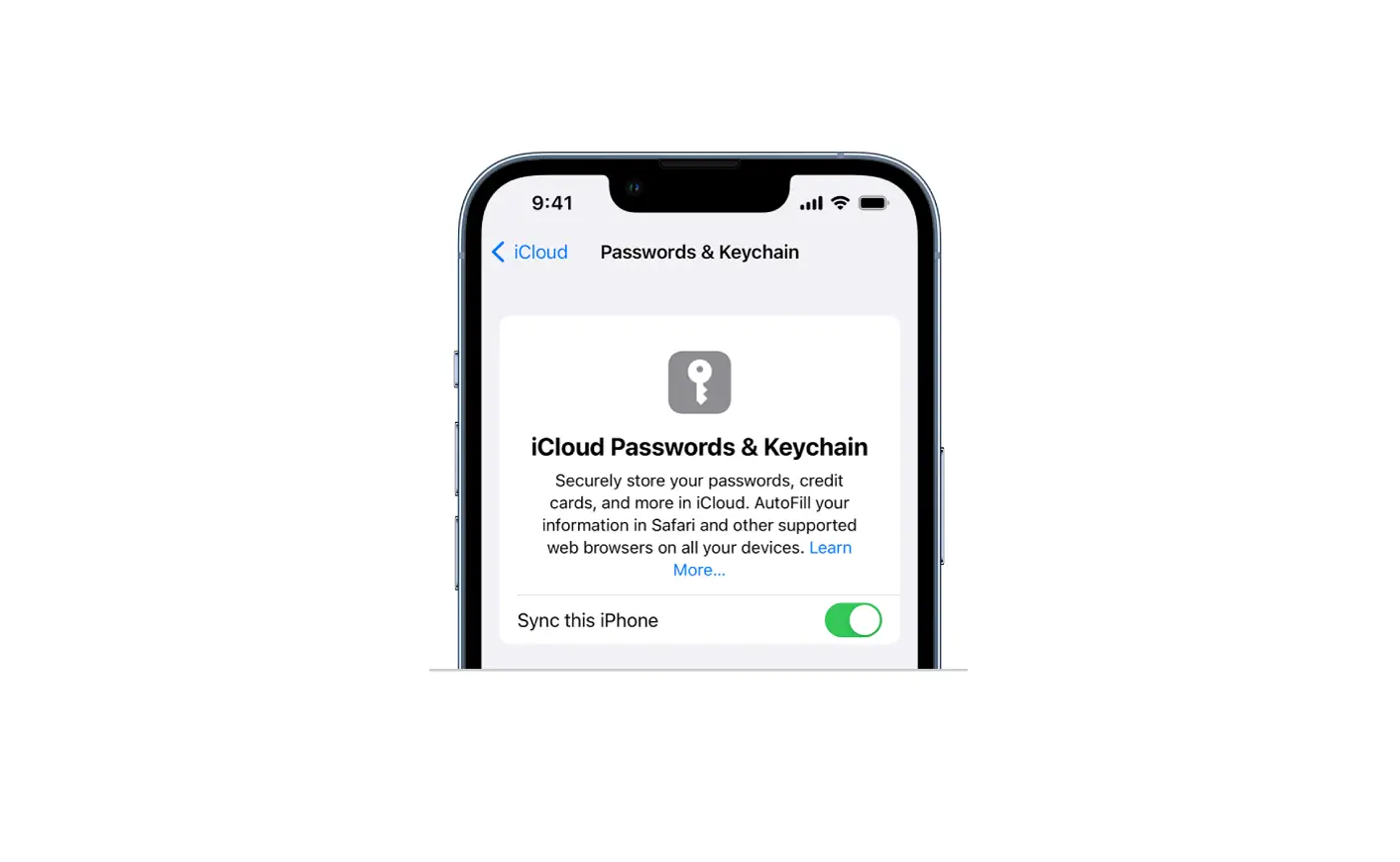 Make Your Passwords Available On All Your Devices With Ipad And Icloud Keychain Make Your Passwords Available On All Your Devices With Ipad And Icloud Keychain