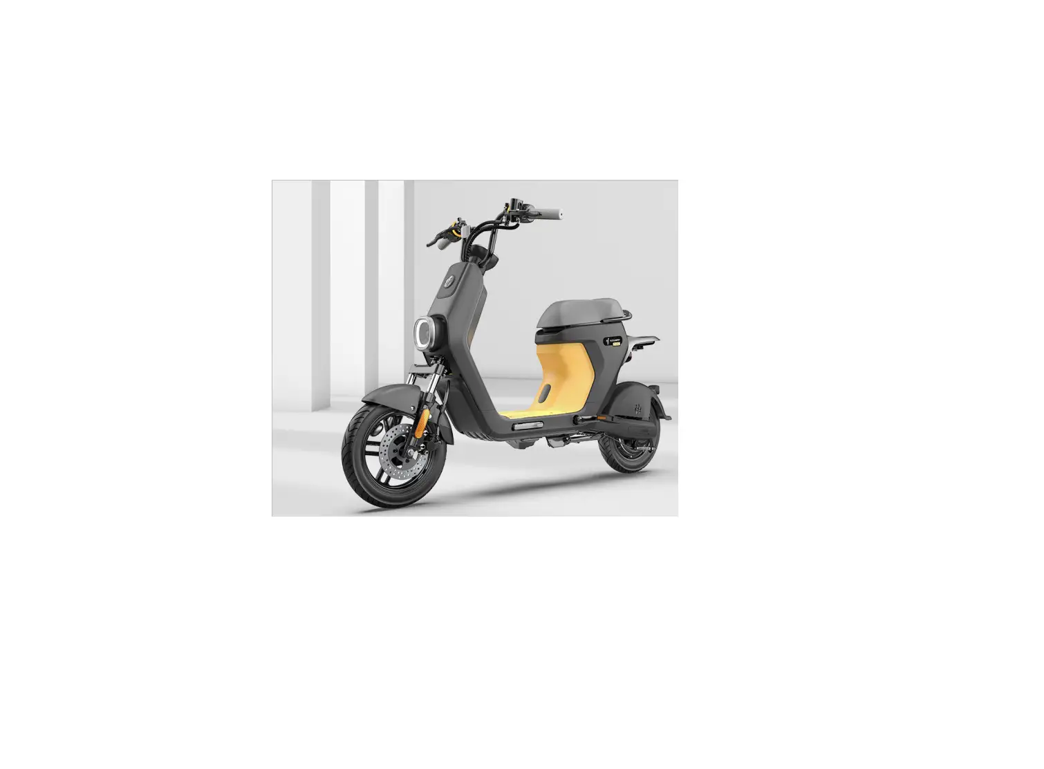Segway Emoped C80 User Manual