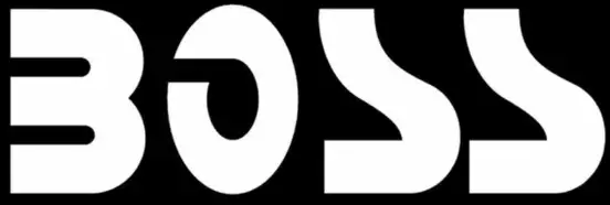 BOSS-LOGO
