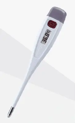 RossMax Digital Thermometer