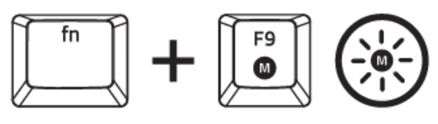 ON-THE-FLY MACRO RECORDING