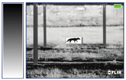 FLIRBREACH Multifunctional Thermal Imaging Monocular - BLACK HOT