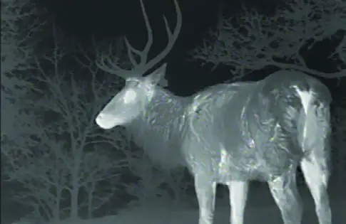 FLIRBREACH Multifunctional Thermal Imaging Monocular - IDENTIFICATION