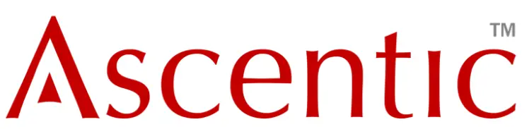 Ascentic E-216 SIG-1 Communication Bridge Serial to Internet Gateway-Logo