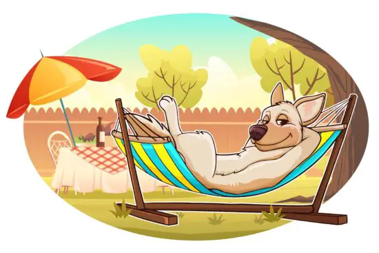 SUNCREAT OUTDOOR LIVING HSW004 Cotton Rope Hammock