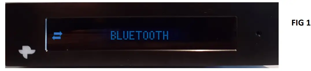 TOTEM TOTPFFBJ73 KIN AMP Integrated Amplifier 9