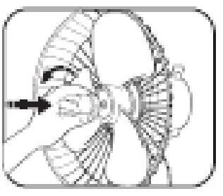 Goldair GSPF110 Select 40cm Pedestal Fan - fig 2