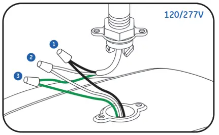 GE current ABN1 Albeo NSF Rated High Bay Luminaire - Electrical Connections1