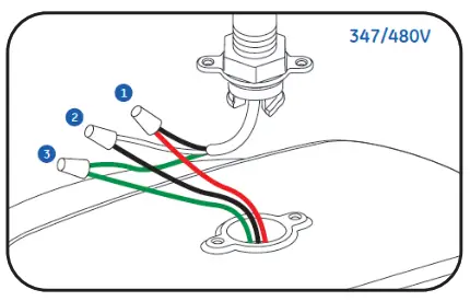 GE current ABN1 Albeo NSF Rated High Bay Luminaire - Electrical Connections2