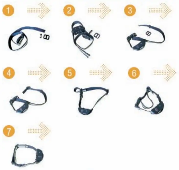 Dongguan DT 101 Training Collar System - FIGURE 11