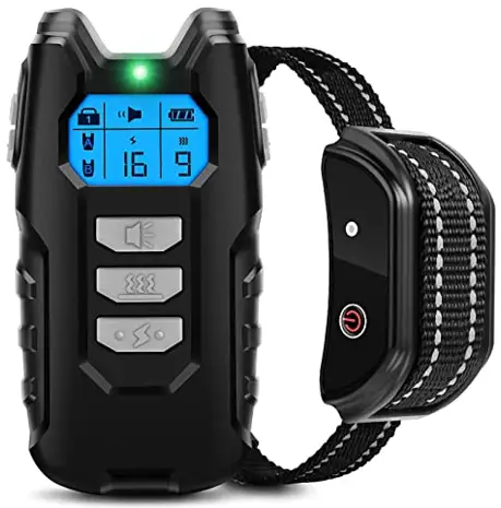 Dongguan DT 101 Training Collar System