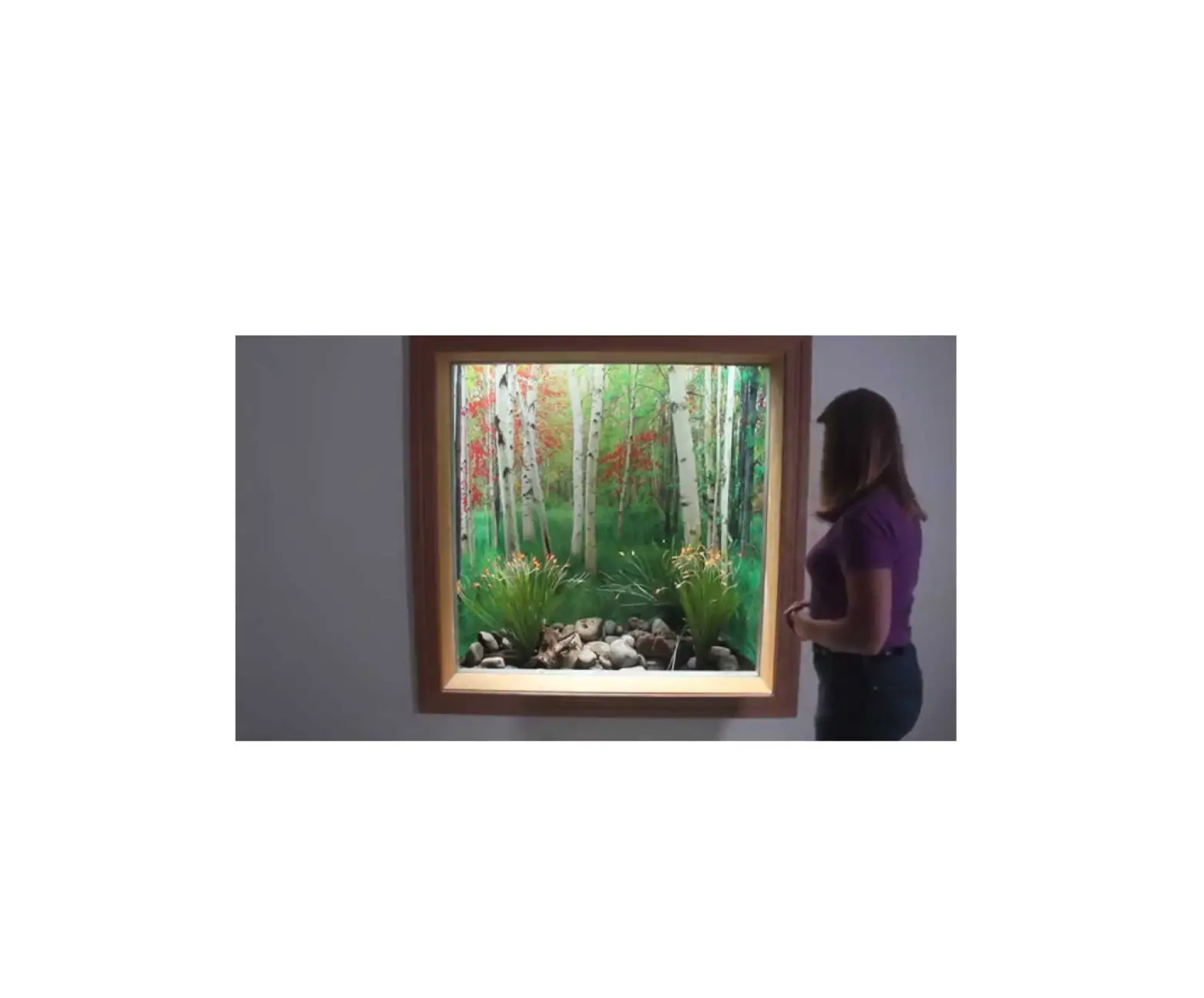 Biggies Window Well Scenes Installation Guide Biggies Window Well Scenes Installation Guide