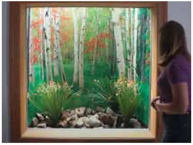 Installation Instructions