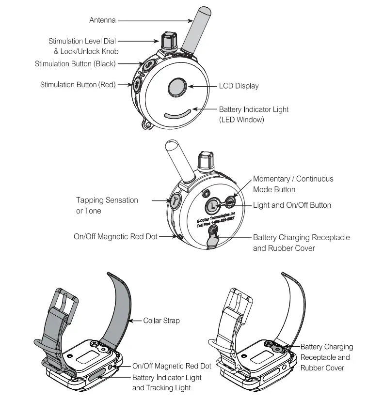 ecollar PG-300 Remote Dog Training Collar Red - Antena