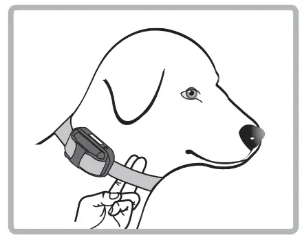 ecollar PG-300 Remote Dog Training Collar Red - COLLAR