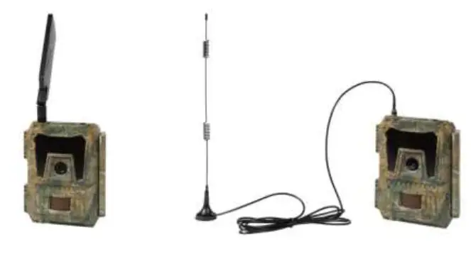 NUMaxes-PIE1058-Trail-Camera-FIG- (4)