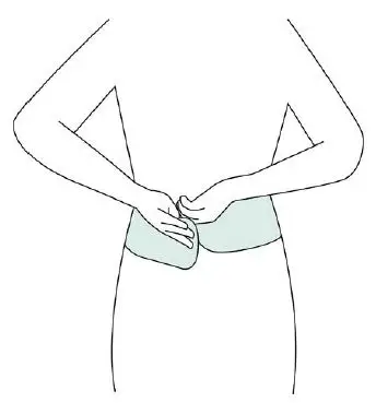 Koala-Belly-Band-fig- (3)