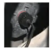 Guangzhou Chihong Photoelectric Technology H11 RGB Car Fog Lights fig 4