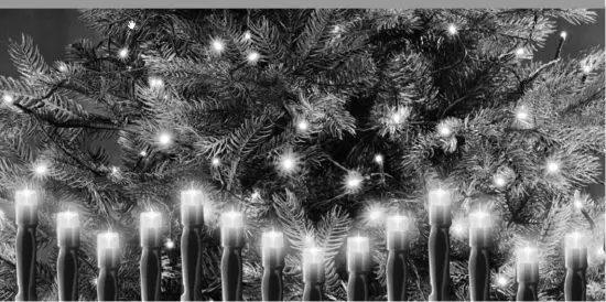 LIVARNO home 100 LED Fairy - lFairy Lights