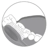 oclean X10 Smart Electric Toothbrush - Recommended tooth brushing method 2