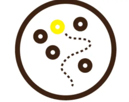 bluefin N30 hoverboard. 14