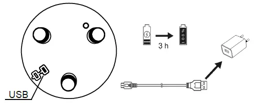 Paul Neuhaus 19827 LED Floor Lamp 05