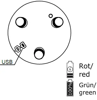 Paul Neuhaus 19827 LED Floor Lamp 06