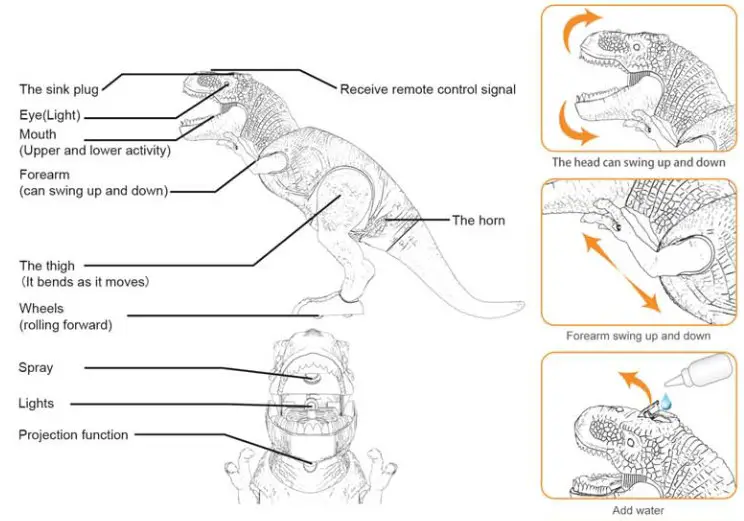 Fei Sheng Toys Factory 1092A Remote Control Dinosaur - Part function description