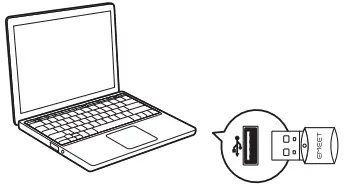 Bluetooth Dongle Connection