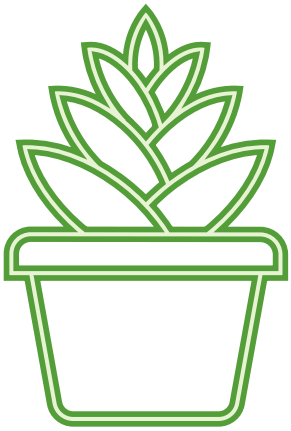 METROLINA GREENHOUSES 4480 1 5 Pt Proven Winners Sedum Annual Plant