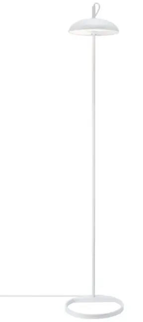 dftp 2220064001 Floor Lamp