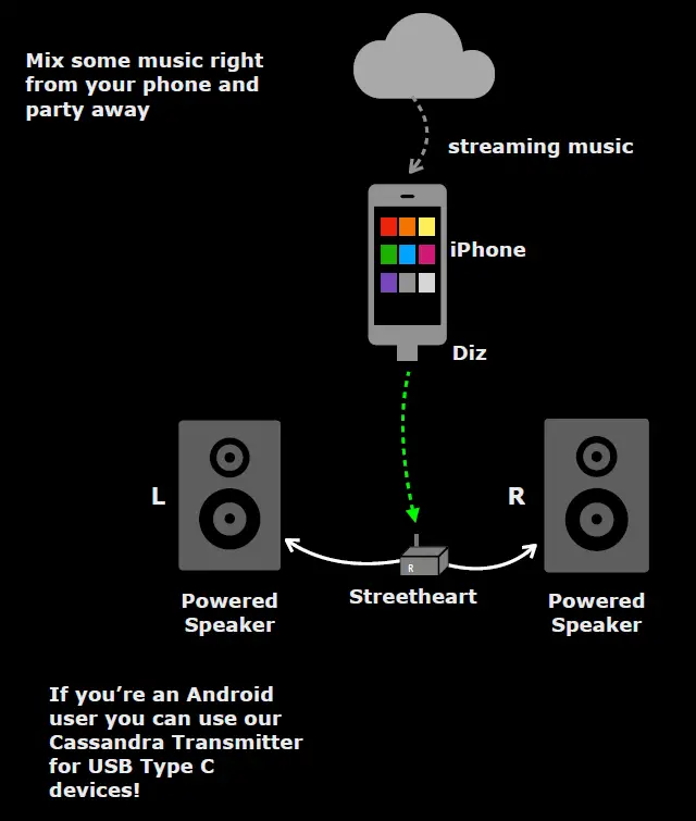 DILLINGER SKAA-Pro-Wireless-Audio-Receiver-fig- (13)
