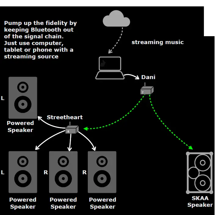 DILLINGER SKAA-Pro-Wireless-Audio-Receiver-fig- (14)