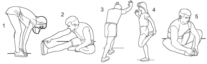 Stretching Exercise