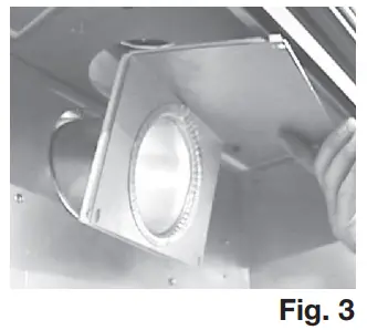 NAPOLEON BX42NTRE Vent Natural Gas Fireplace - Fig 17