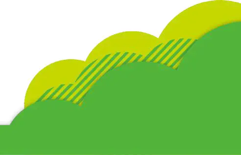 cricket Icon 2 Smartphone