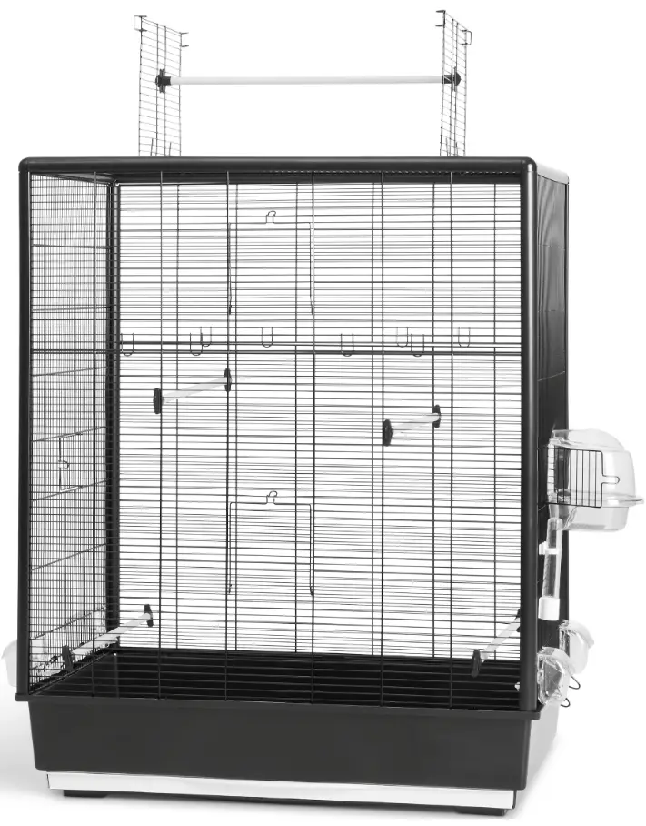 SAVIC SAV-56230 Primo 60 Empire Knock Down