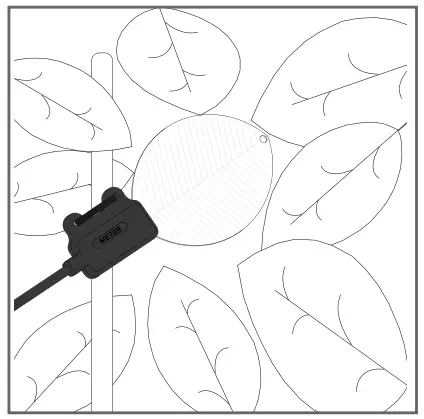 METER PHYTOS 31 Leaf Wetness Sensor - Installation