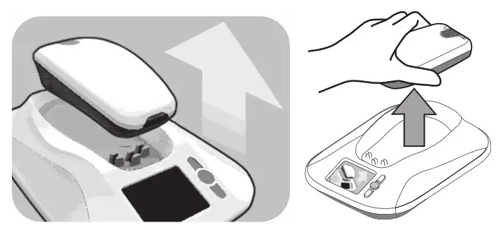 monitor screen shows an image