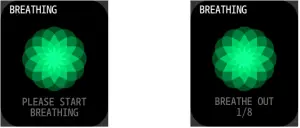 FIRE BOLTT BSW002 Smartwatch - Breathe