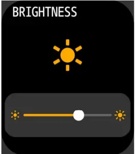 FIRE BOLTT BSW002 Smartwatch - Brightness