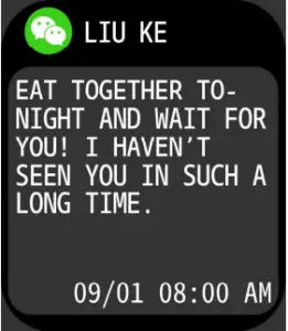 FIRE BOLTT BSW002 Smartwatch - Message