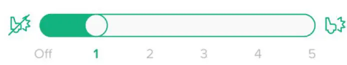 iottie Aivo View Smart Dash Cam App-5