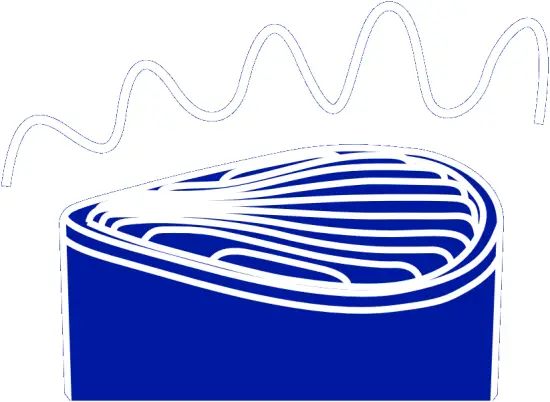 IEQCCWWRT01 - Connection indication 2