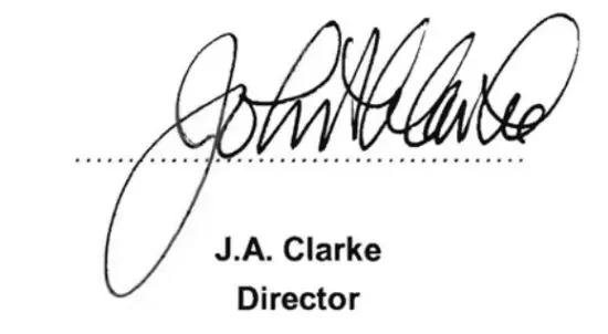 Clarke Air AIR STAPLE NAIL GUN CSN 1D - sain