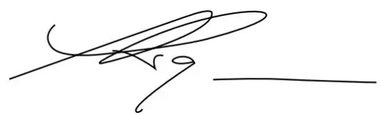 VonHaus 3515301 Compact Palm Router Saw - singnature